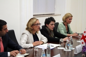  The Georgian Deputy Foreign Minister has met members of Lithuanian Sejm`s Group of Friends with Georgia