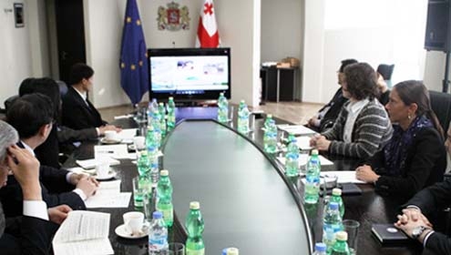 Natia Mikeladze Received South Korean Delegation