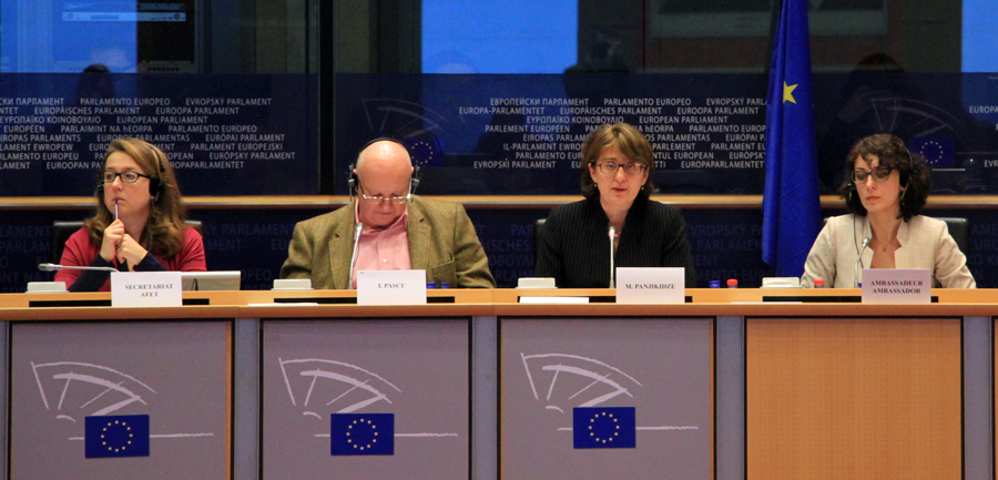 Georgian Foreign Minister participated in European Parliament’s Committee on Foreign Affairs session