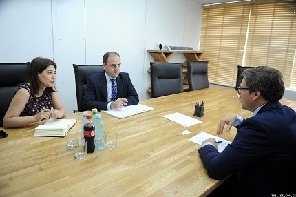 David Narmania met the ambassador of Estonia in Georgia