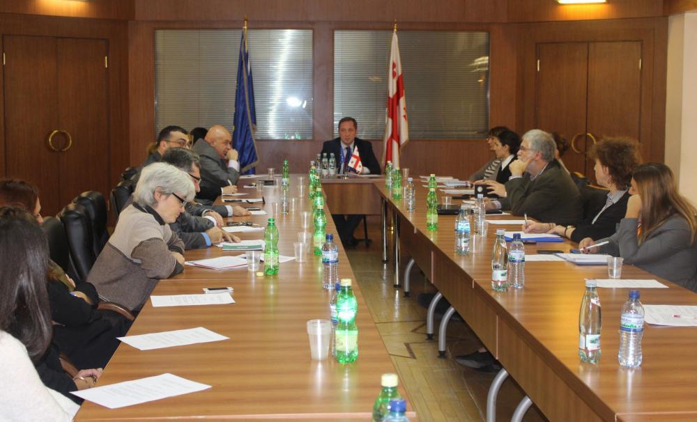 Alex Petriashvili met the Public Advisory Council on Georgia`s EU Integration