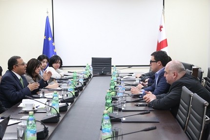 Davit Shavliashvili met the representative of the World Bank