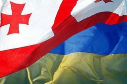 Ukrainian CEC did not pass decision concerning Georgian Observers