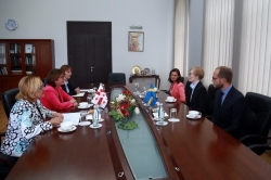 The Swedish Ambassador has presented copies of her credentials to the Georgian Foreign Minister