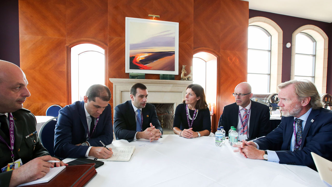 Irakli Alasania meets Swedish Minister of Defence