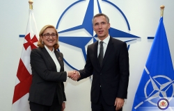 The Georgian Foreign Minister has met the NATO Secretary General