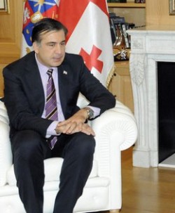 Georgian President hosted deputy US State Secretary