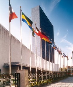 UN Security Council holds special sitting