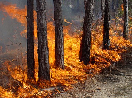 There is fire on Mtatsminda