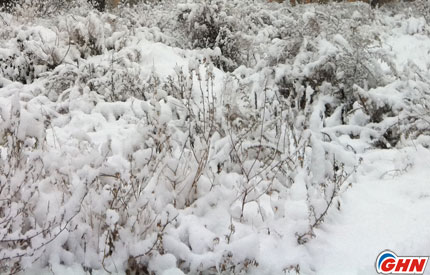 Heavy snowfall continues hitting Georgia