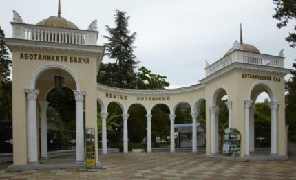 On the territory of Sukhumi botanical garden will be grown bananas and pineapples