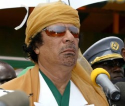 Interpol searches Qaddafi
