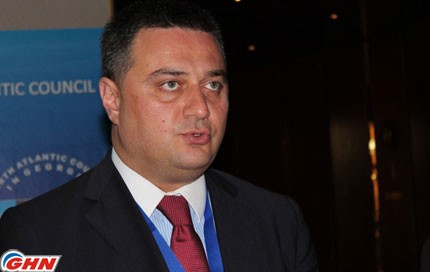 Viktor Dolidze: I would advice to Premier to choose rhetoric in future