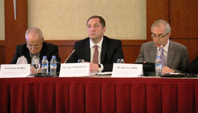 Alex Petriashvili Opened the Conference on the 2014 Local Elections