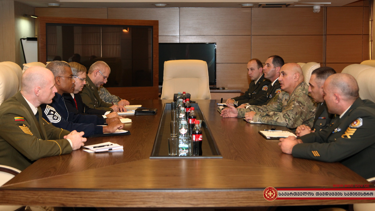 Chief of General Staff Met with DEEP Representatives