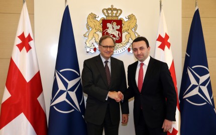 Irakli Garibashvili met Alexander Vershbow