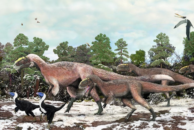 T. rex relative is biggest ever feathered animal